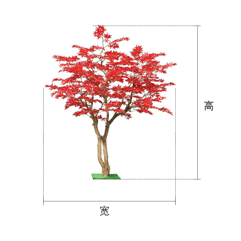 Gardening Hand Tools Japanese - Kırmızı akçaağaç ağacı, yerden tavana sahip