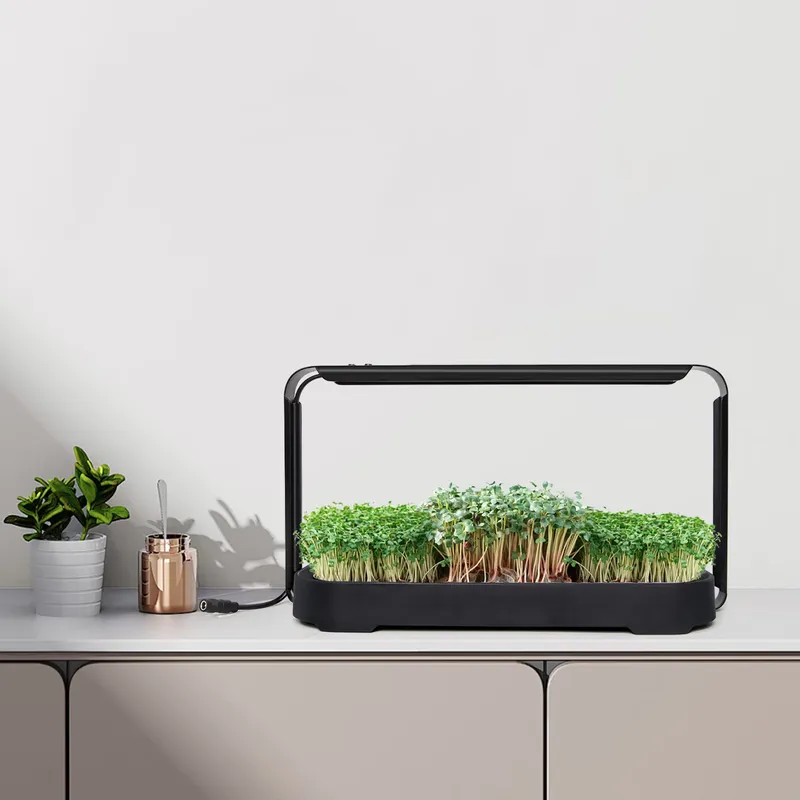 Self-Watering Planter - Mikro yeşillikler için kendi kendine sulanan