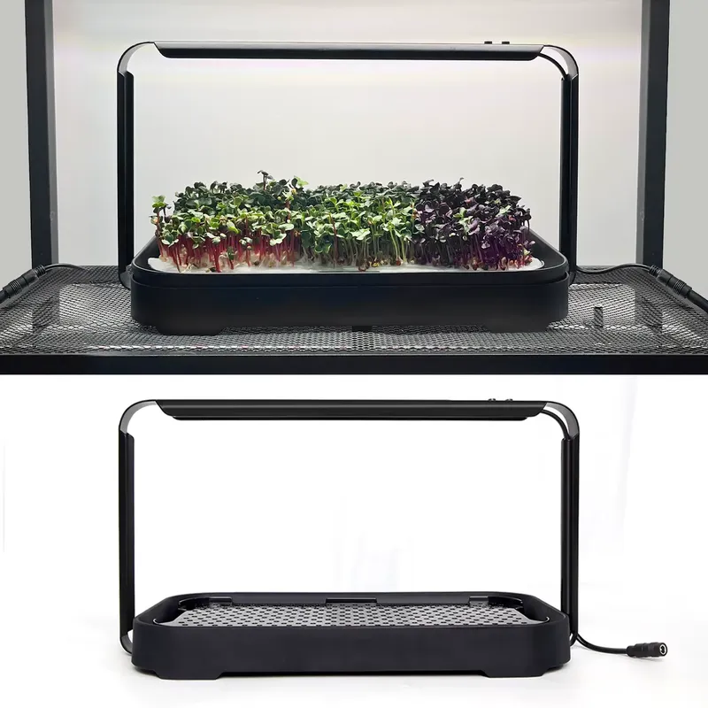 Mikro yeşillikler için kendi k - Self-Watering Planter incelemesi ve fiyatı