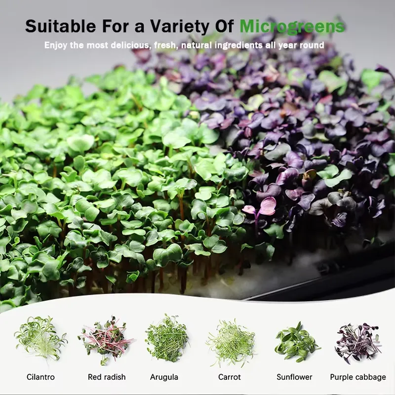 Mikro yeşillikler için kendi k - Self-Watering Planter incelemesi ve fiyatı