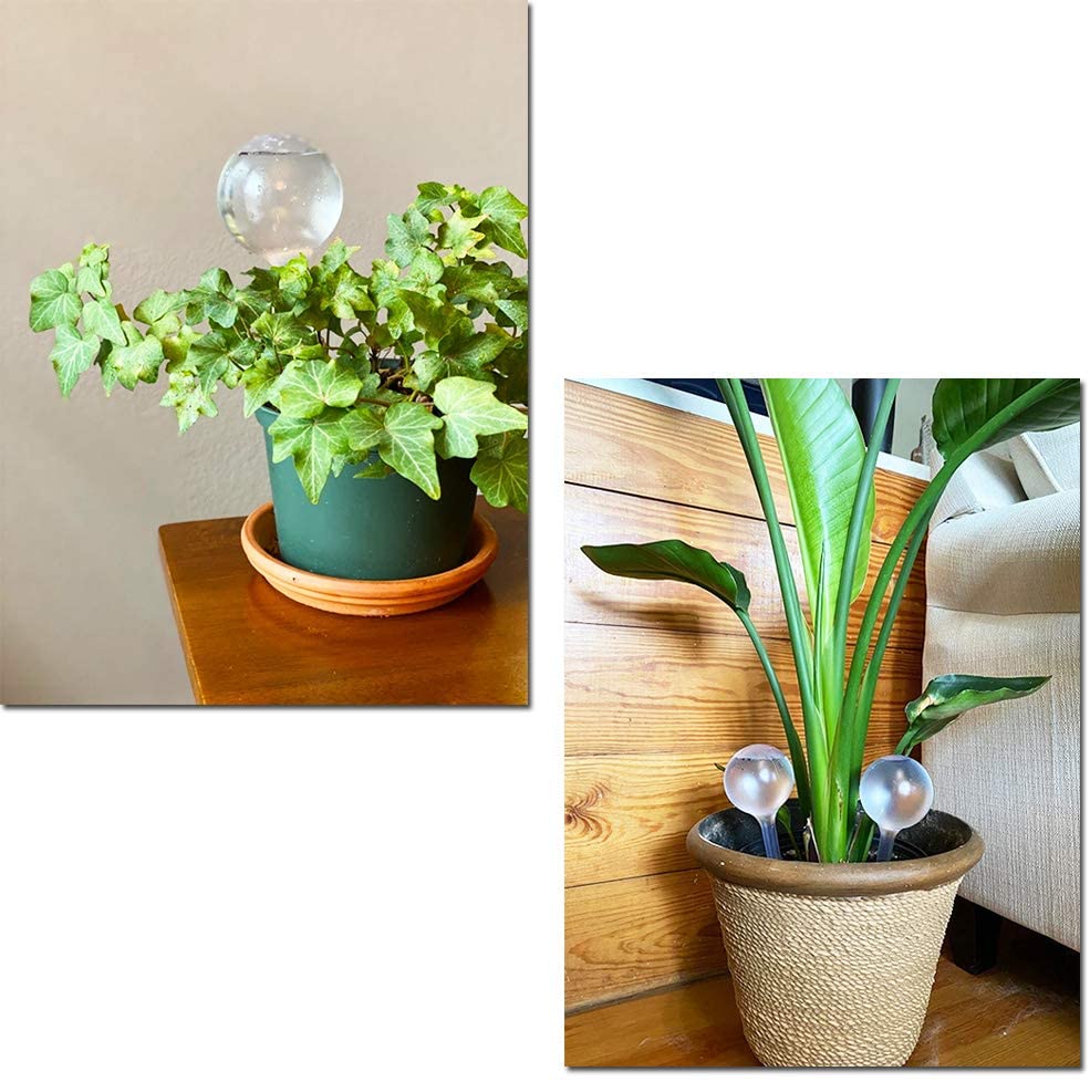 Otomatik bitki su besleyici ke - Automatic Plant Waterer incelemesi ve fiyatı