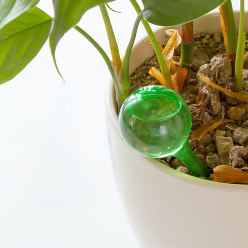 Otomatik bitki su besleyici ke - Automatic Plant Waterer incelemesi ve fiyatı